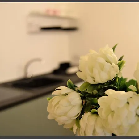 Apartment Peonia House